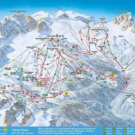 Almrausch Und Enzian *