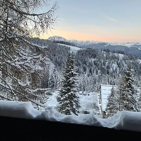 Almrausch Und Enzian *