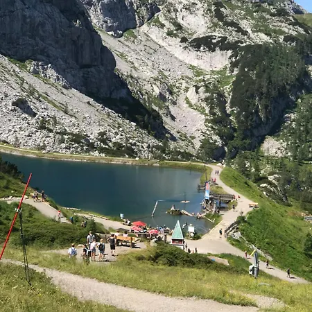 Almrausch Und Enzian *