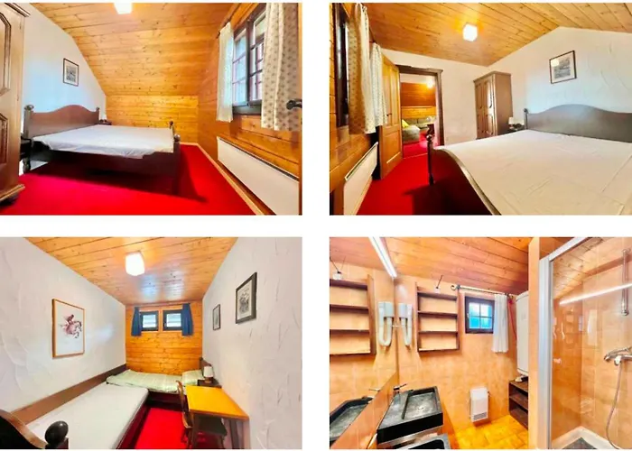 Almrausch Und Enzian *