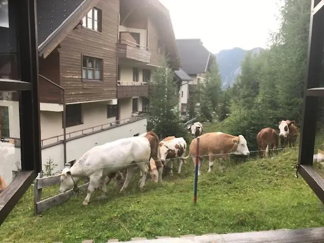 Almrausch Und Enzian Daire *