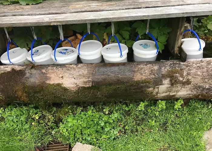 Daire Almrausch Und Enzian